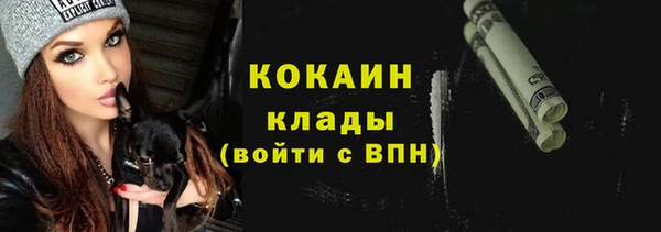 стаф Пересвет