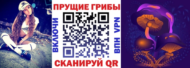 кракен зеркало  Менделеевск  Галлюциногенные грибы мухоморы  что такое наркотик 