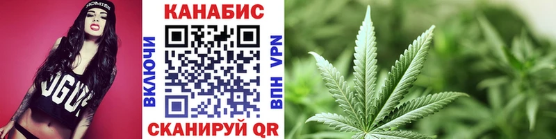 Шишки марихуана сатива  продажа наркотиков  Менделеевск 
